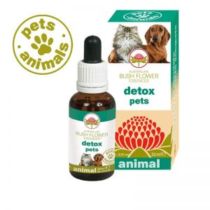 Detox Pets