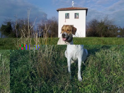 Gianduia e' il re della Torretta!