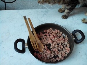 Nutrizione nel gatto cibo secco e cibo fatto in casa
