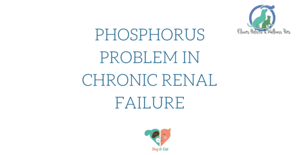 Phosphorus problem in chronic renal failure 