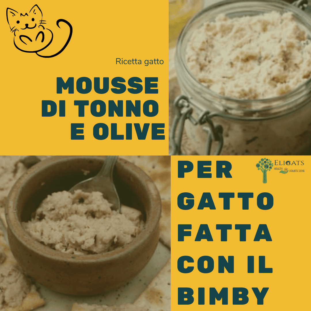 Mousse di tonno e olive per gatto fatta con il Bimby