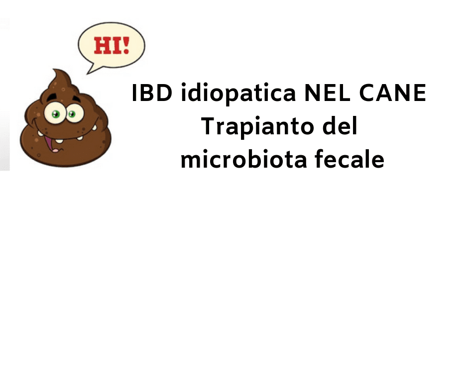 IBD idiopatica NEL CANE Trapianto del microbiota fecale