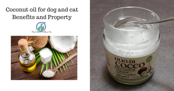 Coconut oil for dog and cat