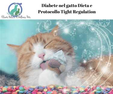 Diabete nel gatto