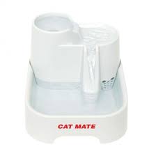 cat mate fontanella acqua gatto