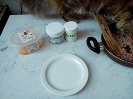 Nutrizione gatto cibo secco e cibo fatto in casa