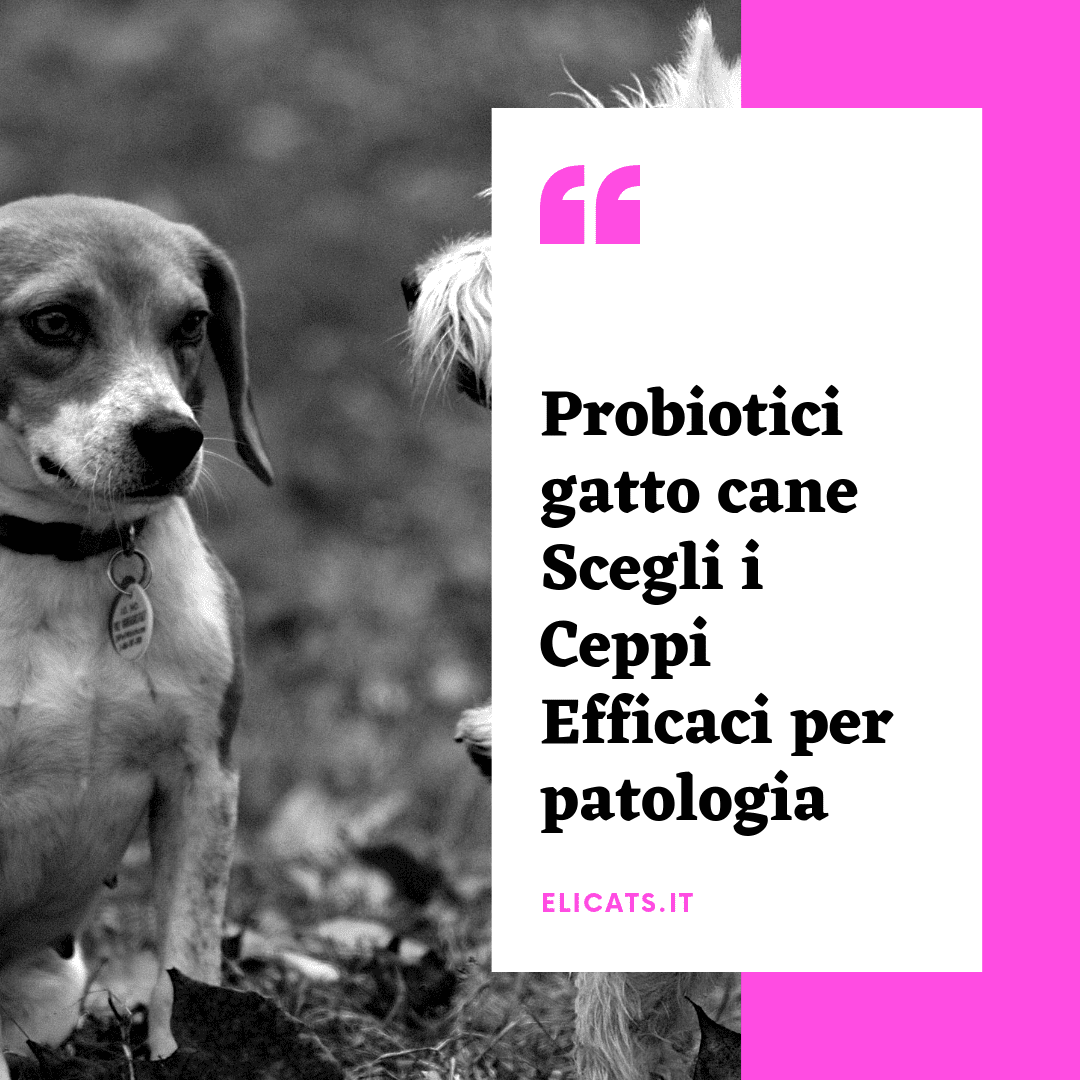 Probiotici cane