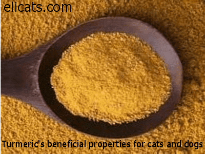 urmeric's beneficial properties for cats and dogs