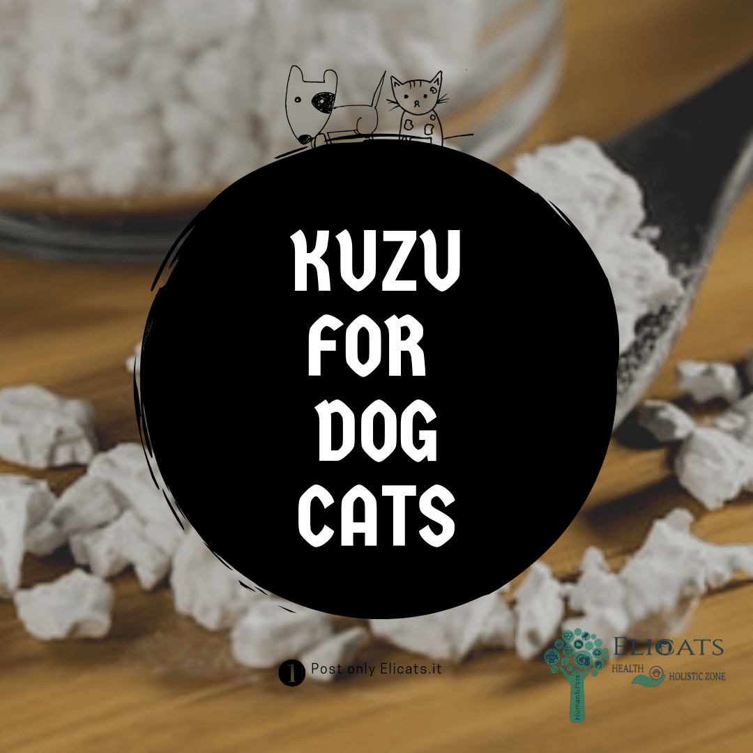Kuzu dogs cats