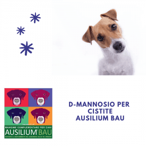 D-mannosio cane cistite