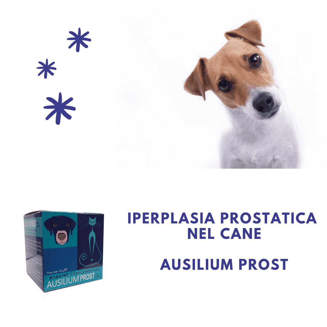 Iperplasia prostatica nel cane