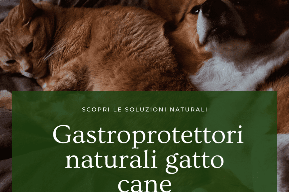 Gastroprotettori naturali gatto cane