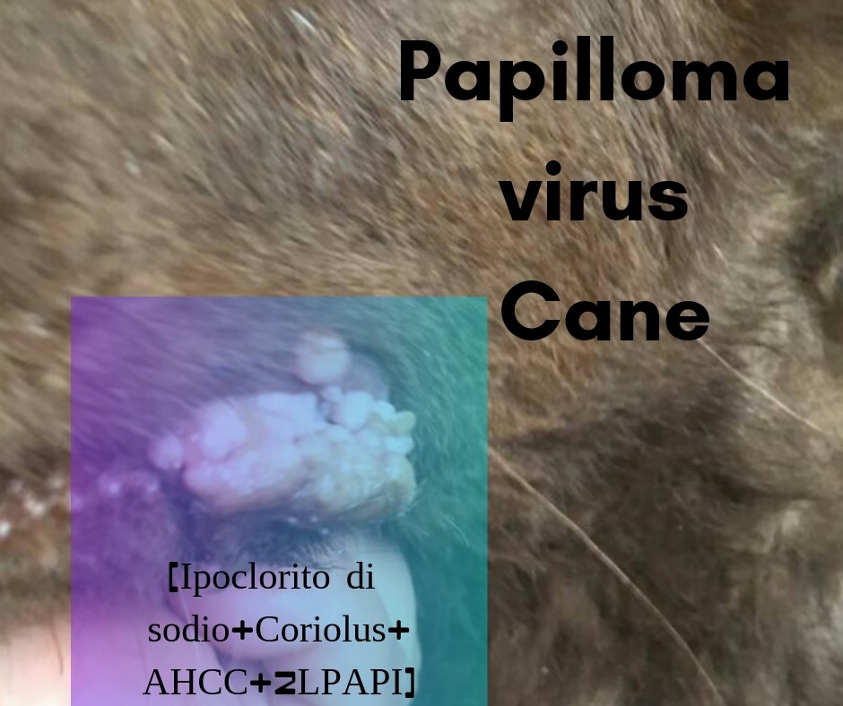 papilloma virus occhio cane coral detox plus program