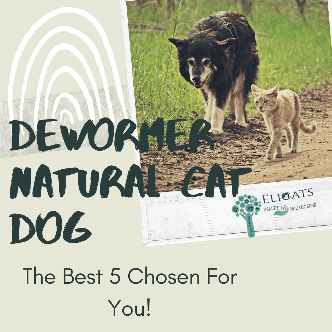 dewormer natural dog cat