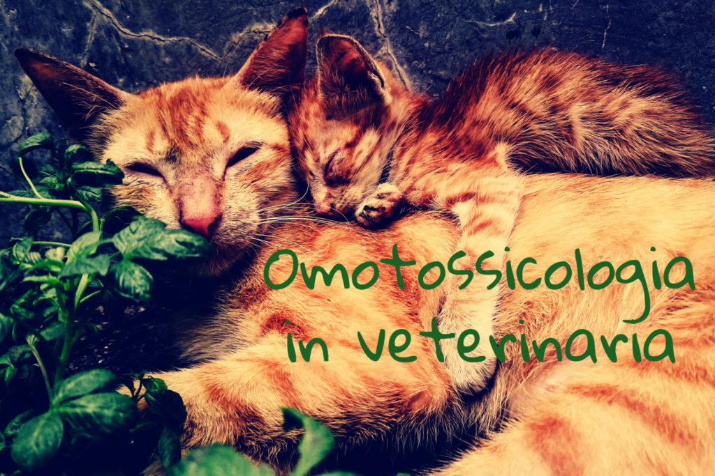 Omotossicologia Gatto Cane