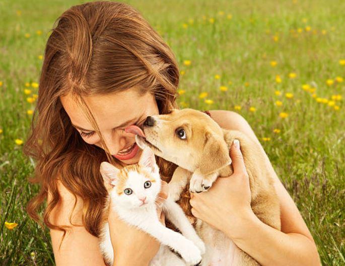 Diarrea Infezioni Micotossine cane gatto