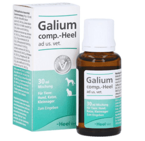 Galium Heel uso veterinario