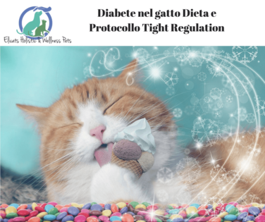 Remissione diabete gatto