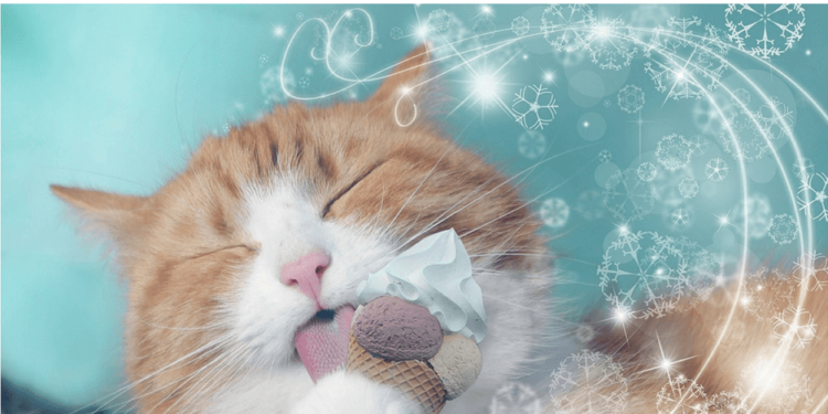 Diabete Nel Gatto Cure Naturali Alimentazione E Tight Regulation
