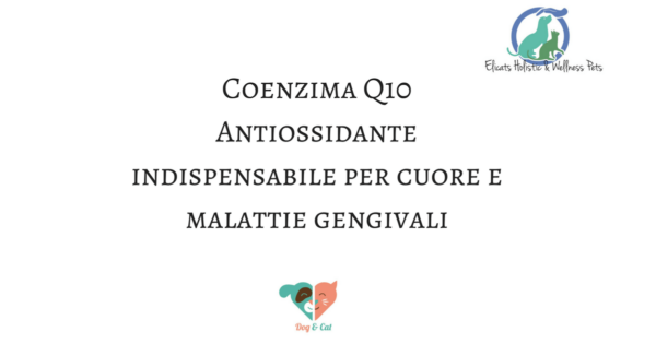 Coenzima Q10 Antiossidante Per Cuore E Malattie Gengivali Dogs Cats