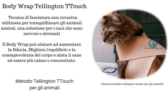 metodo tellington cani