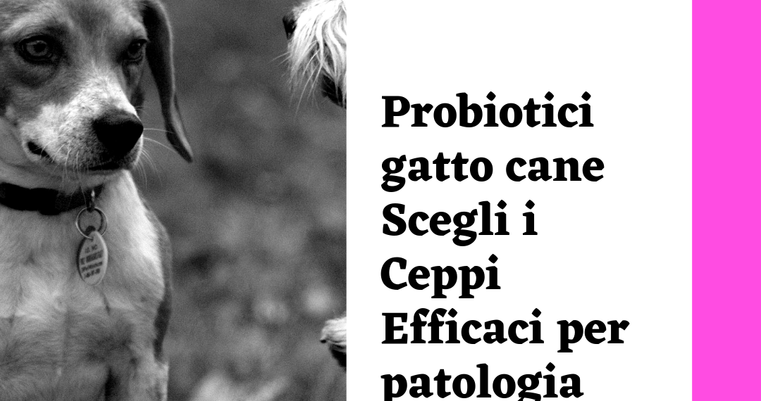probiotici per forum di perdita di peso