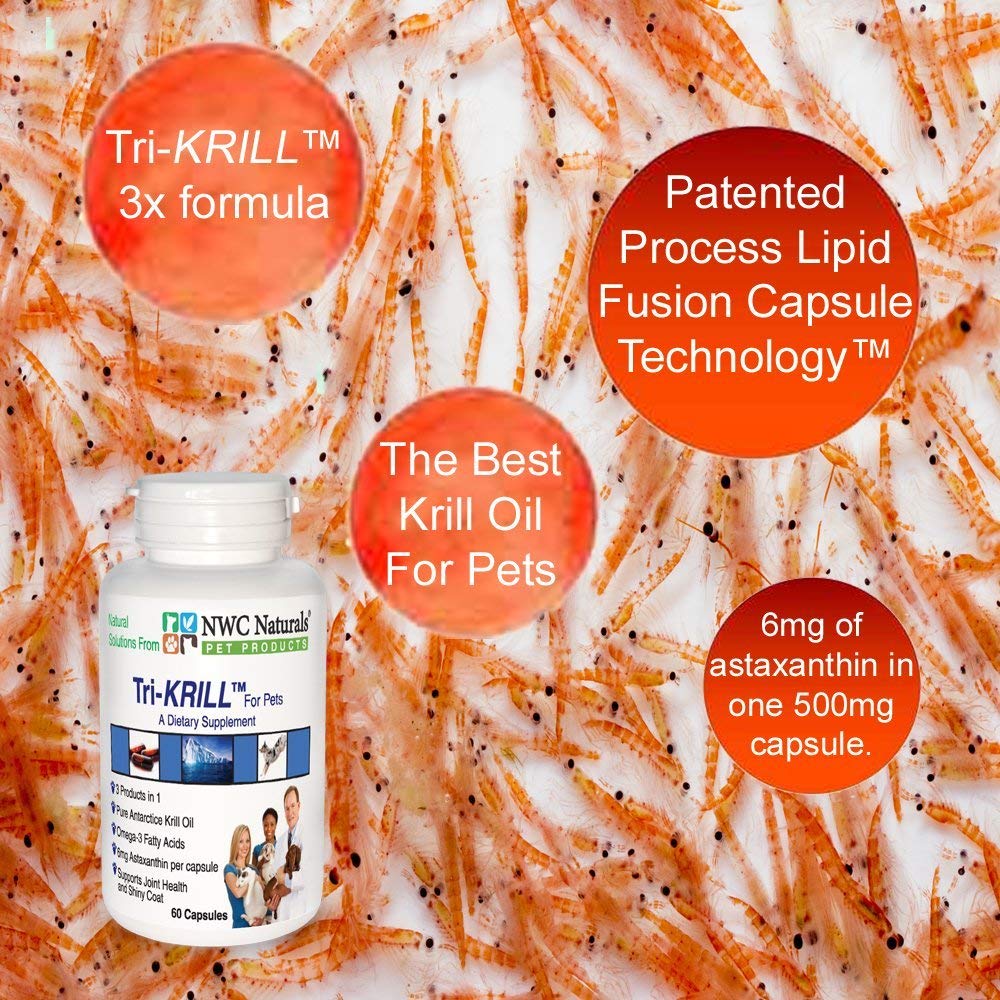 olio krill cane gatto olio krill cane gatto