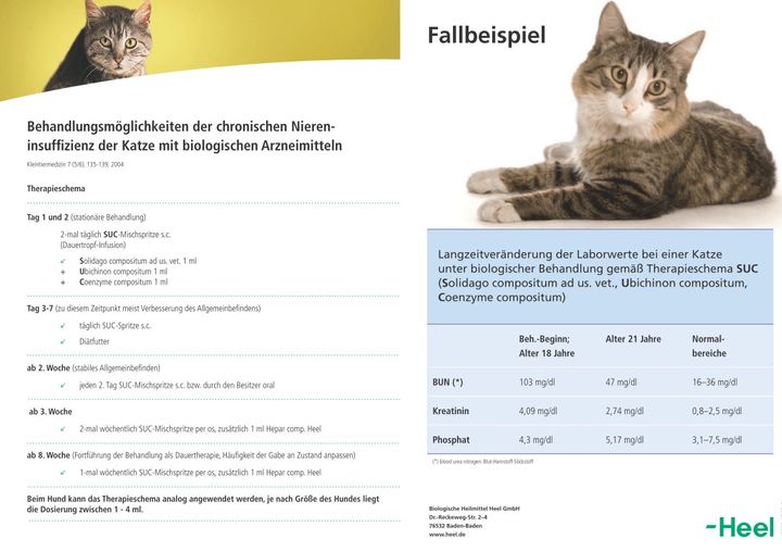 protocollo heel gatto cane