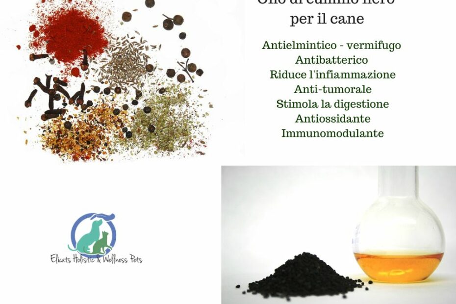 Olio di cumino nero cane