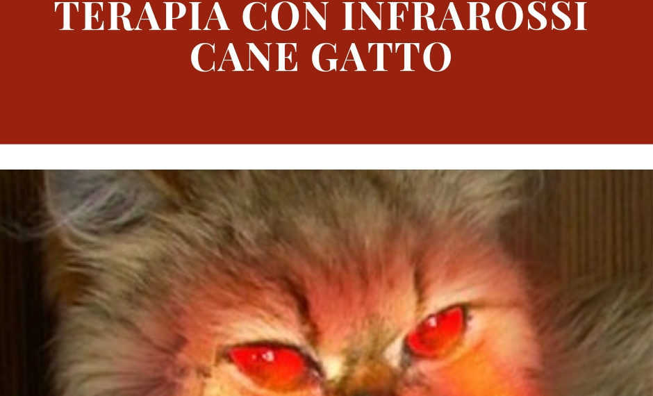 trattamento renale a casa