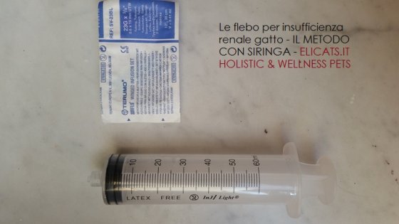 Flebo insufficienza renale gatto