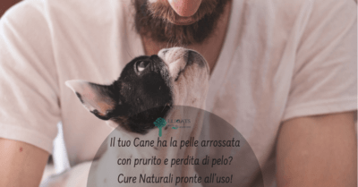Cane pelle arrossata prurito perdita di pelo
