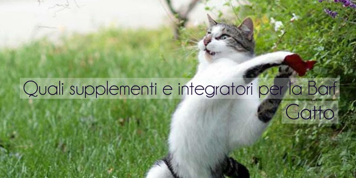 Quali Supplementi E Integratori Per La Barf Gatto Cane