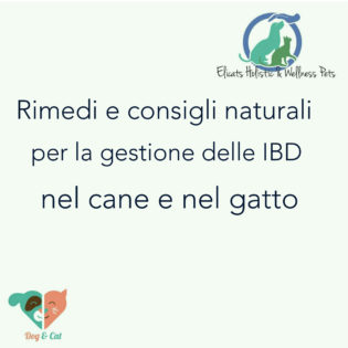 ibd cane gatto cure naturali