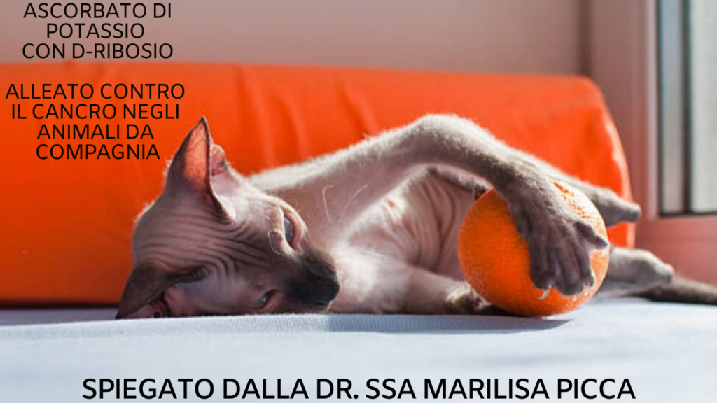 Ascorbato di potassio con D-ribosio gatto cane 