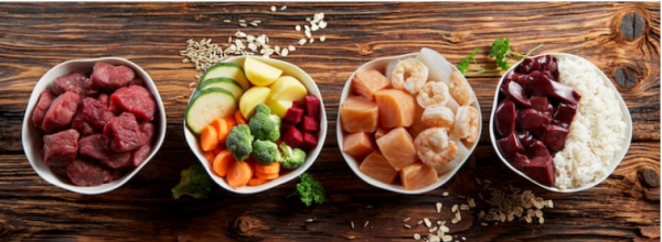 PEW malnutrizione gatto insufficienza renale