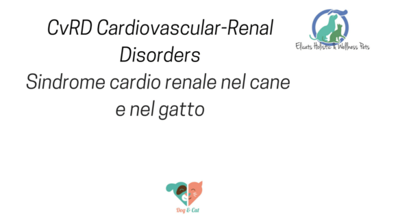 CvRD Cardiovascular Renal Disorders