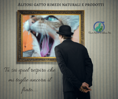 alitosi nel gatto rimedi naturali