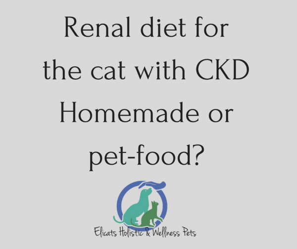 Homemade food for cats with kidney disease or petfood? Elicats.it