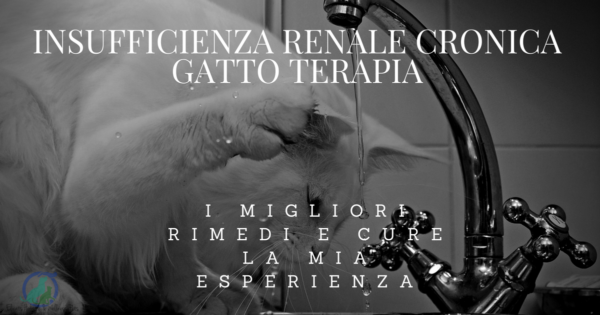 Vivere Con Un Solo Rene Conseguenze