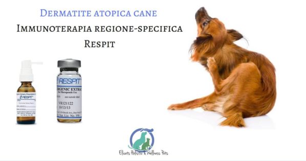 Immunoterapia nelle dermatiti del cane e gatto