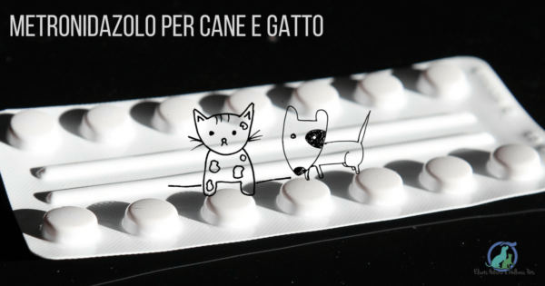 Metronidazolo per cane e gatto