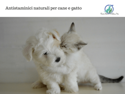 Antistaminici naturali cane gatto