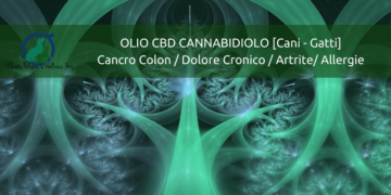 cbd cane gatto