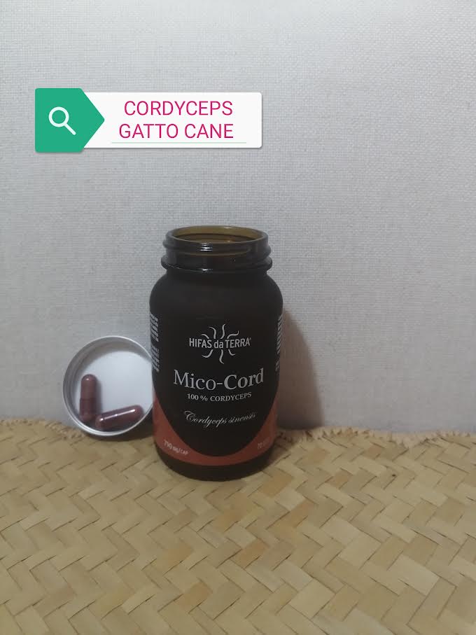 cordyceps gatto cane