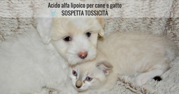 Acido alfa lipoico per cane