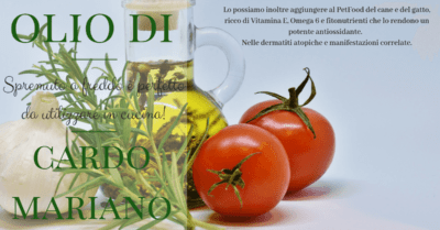 olio cardo mariano