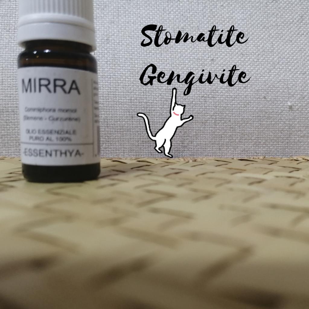 mirra stomatite gatto