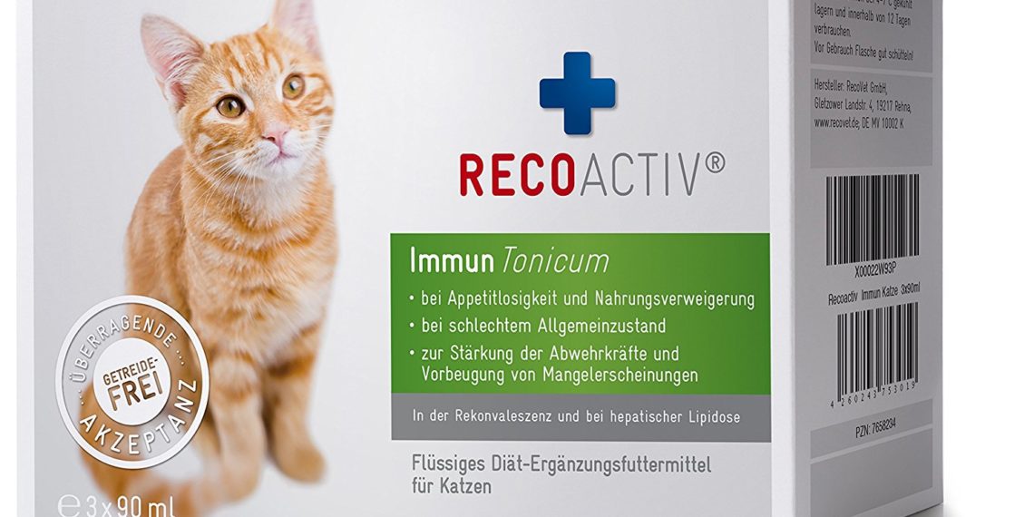 RECOACTIV Immun Tonicum für Katzen