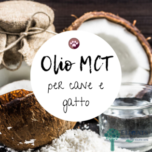 Olio MCT cane gatto